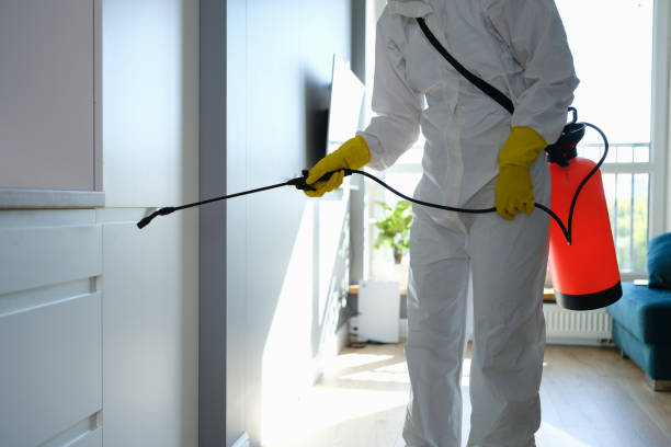 Best Insurance-Related Mold Remediation in Lahoma City, OK