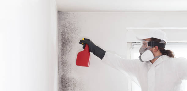 Best Mold Testing and Inspection Services in Lahoma City, OK